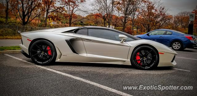 Lamborghini Aventador spotted in Manhasset, New York