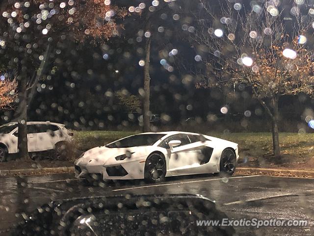 Lamborghini Aventador spotted in Herndon, Virginia