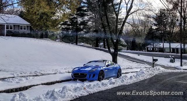 Jaguar F-Type spotted in Bridgewater, New Jersey