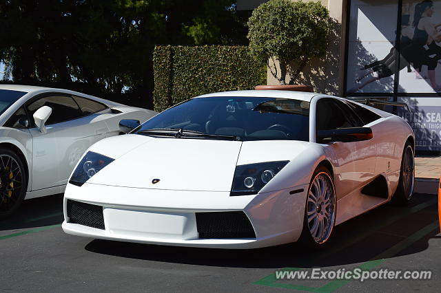 Lamborghini Murcielago spotted in Newport Beach, California