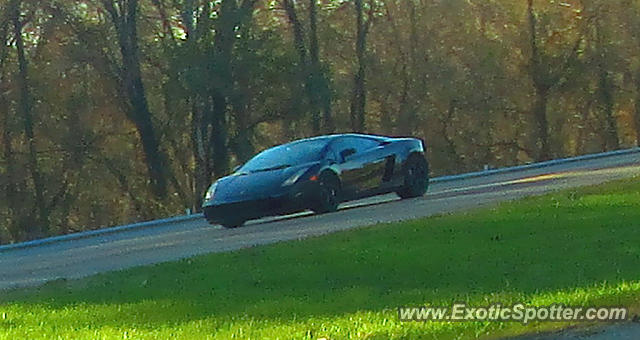Lamborghini Gallardo spotted in Columbia, Maryland
