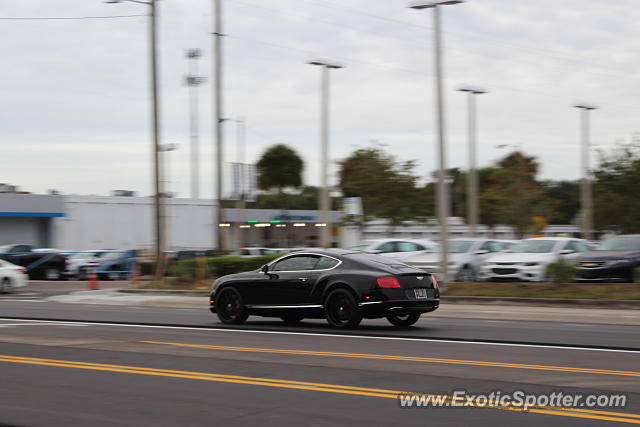 Bentley Continental spotted in Tampa, Florida