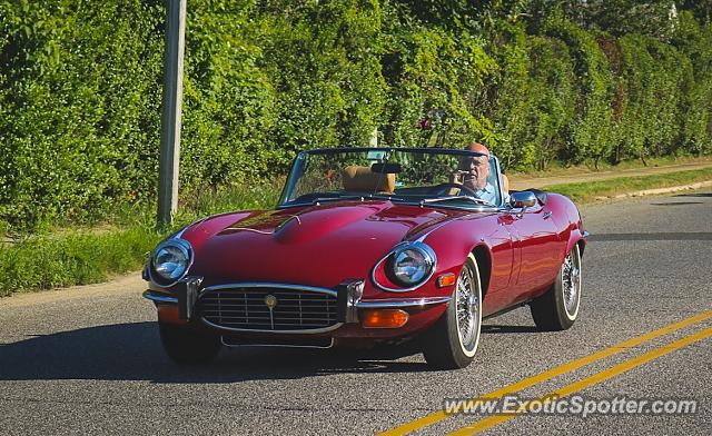 Jaguar E-Type spotted in Long Branch, New Jersey