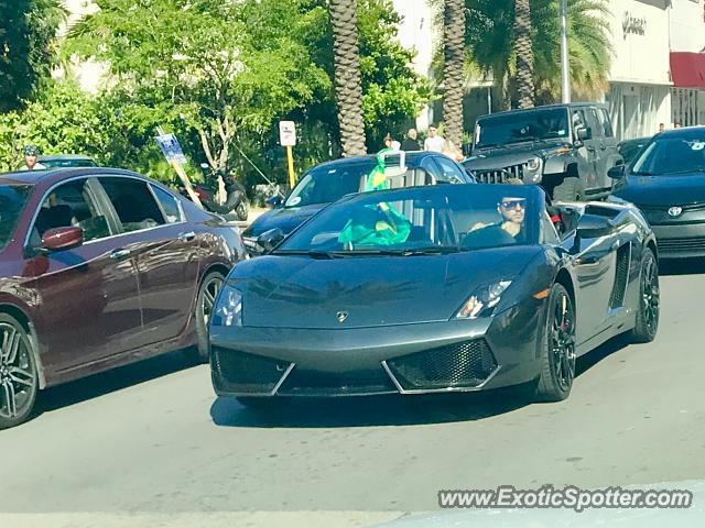 Lamborghini Gallardo spotted in Miami Beach, Florida