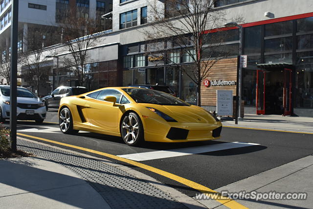 Lamborghini Gallardo spotted in Fairfax, Virginia
