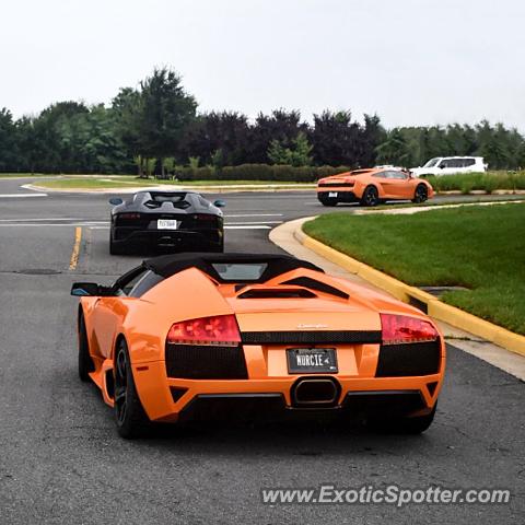 Lamborghini Murcielago spotted in Sterling, Virginia