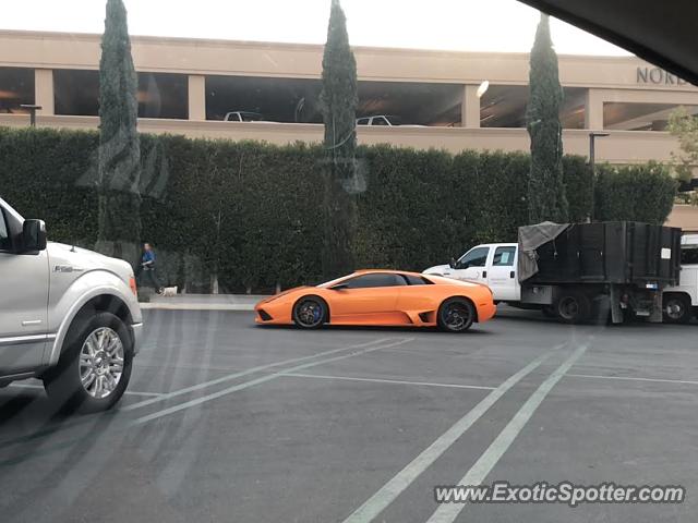 Lamborghini Murcielago spotted in Newport Beach, California