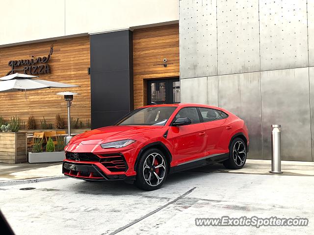Lamborghini Urus spotted in Atlanta, Georgia