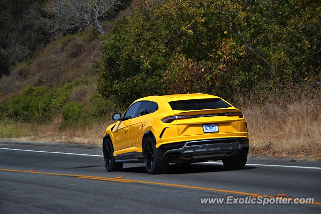Lamborghini Urus spotted in Carmel, California