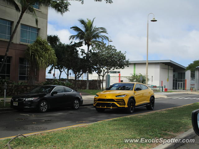 Lamborghini Urus spotted in Honolulu, Hawaii