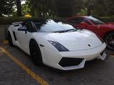 Lamborghini Gallardo