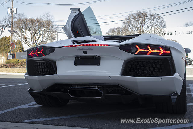 Lamborghini Aventador spotted in Edison, New Jersey