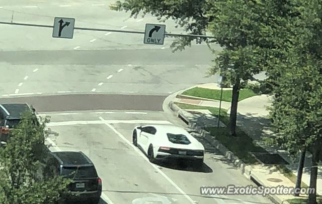 Lamborghini Aventador spotted in Dallas, Texas