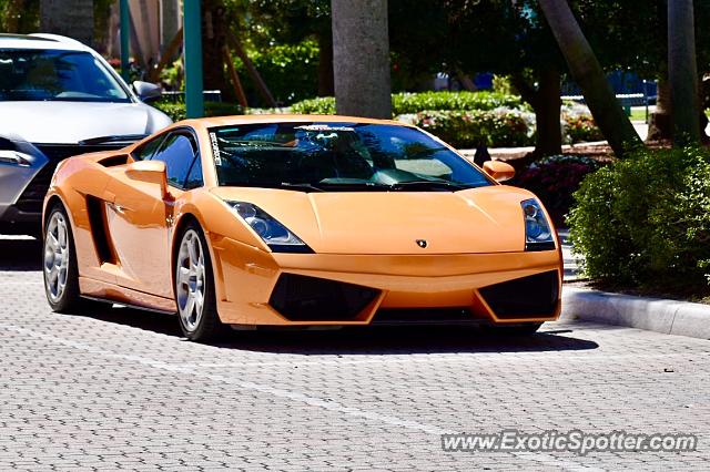 Lamborghini Gallardo spotted in Boca Raton, Florida
