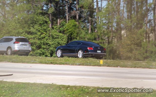 Bentley Continental spotted in Brandon, Florida