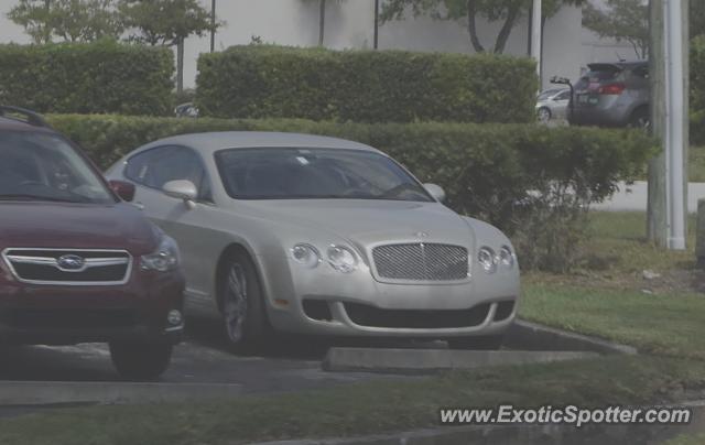 Bentley Continental spotted in Gulfport, Florida