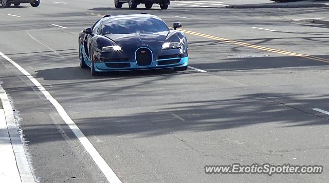 Bugatti Veyron spotted in Greenwich, Connecticut