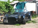 Shelby Cobra