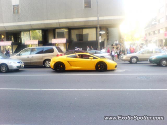 Lamborghini Gallardo spotted in Toronto Ontario , Canada