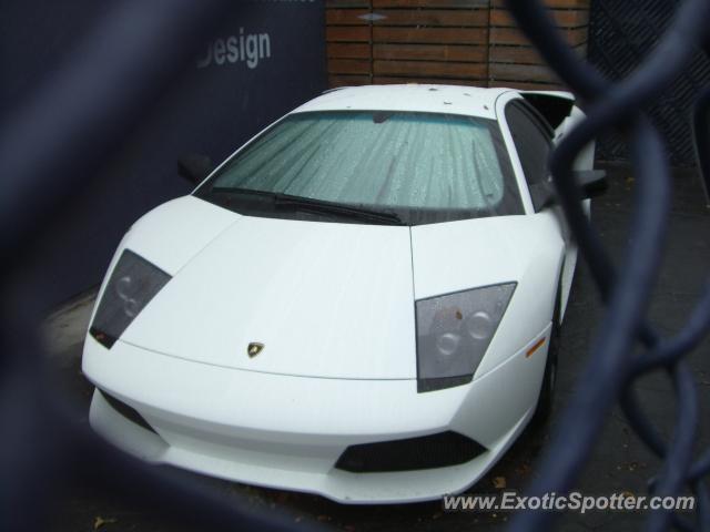 Lamborghini Murcielago spotted in Beverly Hills, California