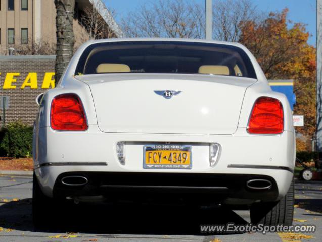 Bentley Continental spotted in Albany, New York