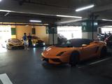 Lamborghini Gallardo