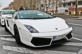 Lamborghini Gallardo