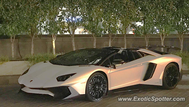 Lamborghini Aventador spotted in Melbourne, Australia