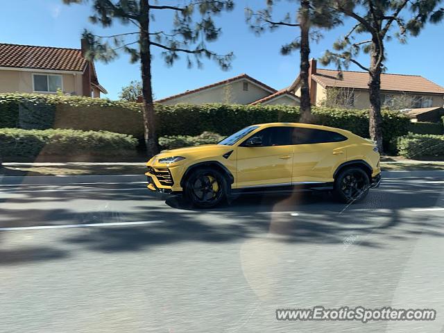 Lamborghini Urus spotted in Irvine, California