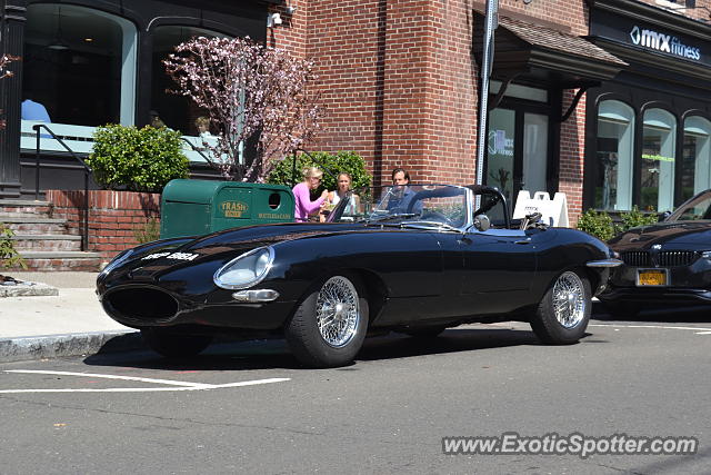 Jaguar E-Type spotted in Greenwich, Connecticut