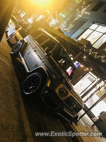 Mercedes 4x4 Squared spotted in Chicago, Illinois