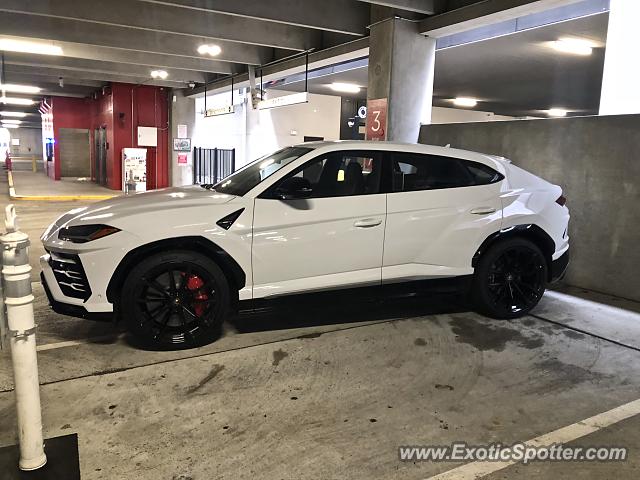 Lamborghini Urus spotted in Atlanta, Georgia