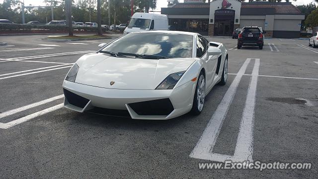 Lamborghini Gallardo spotted in Miami, Florida