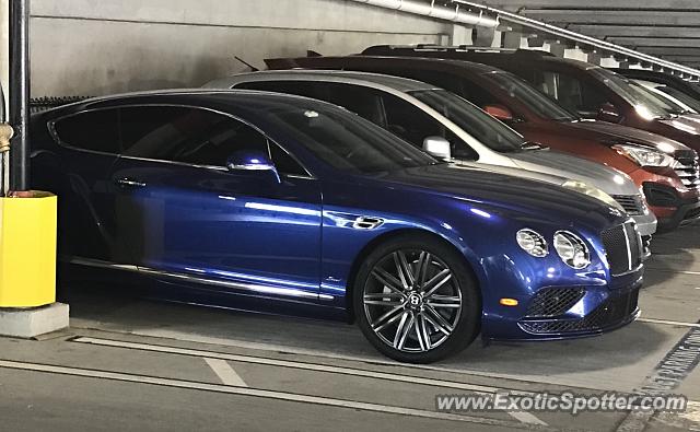 Bentley Continental spotted in Gainesville, Florida
