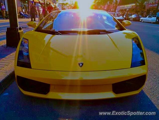 Lamborghini Gallardo spotted in Bridget Water, New Jersey