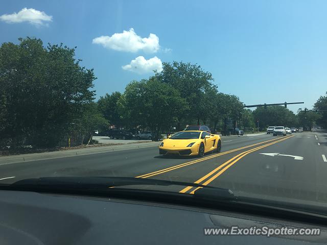 Lamborghini Gallardo spotted in Mount Pleasant, South Carolina
