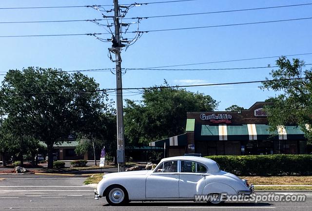 Other Vintage spotted in Jacksonville, Florida