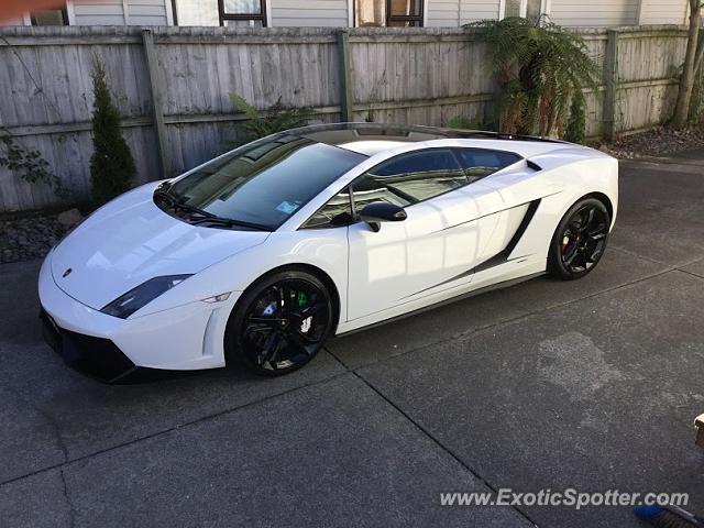 Lamborghini Gallardo spotted in Christchurch, New Zealand