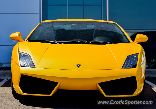 Lamborghini Gallardo spotted in Golden Valley, Minnesota