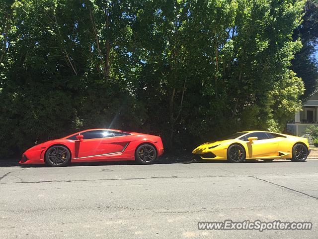 Lamborghini Huracan spotted in Napa, California