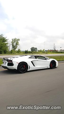 Lamborghini Aventador spotted in Mansfield ohio, Ohio