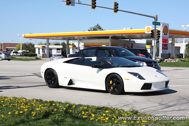 Lamborghini Murcielago spotted in Highland Park, Illinois