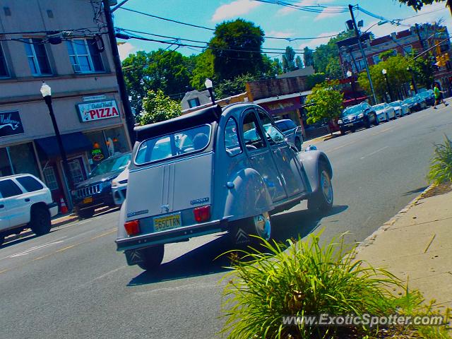 Other Vintage spotted in Westfield, New Jersey