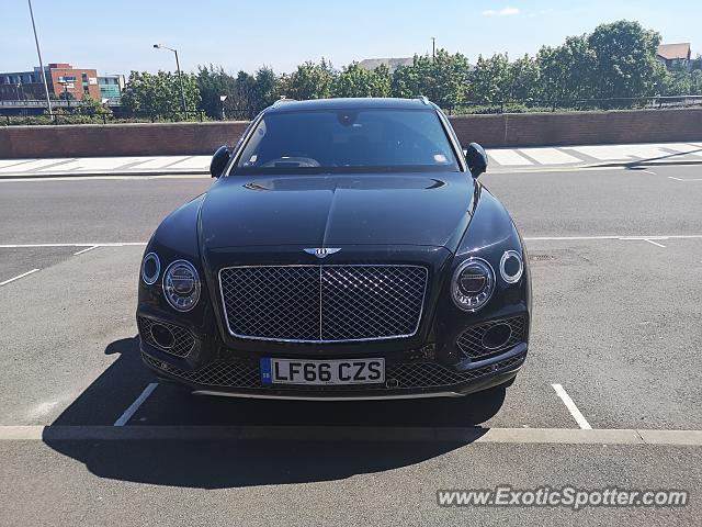 Bentley Bentayga spotted in Stockton, United Kingdom