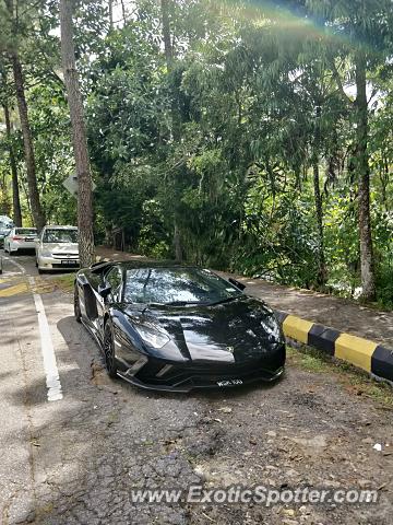 Lamborghini Aventador spotted in Genting Highland, Malaysia