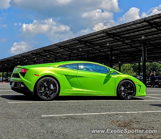 Lamborghini Gallardo spotted in Somerset, New Jersey