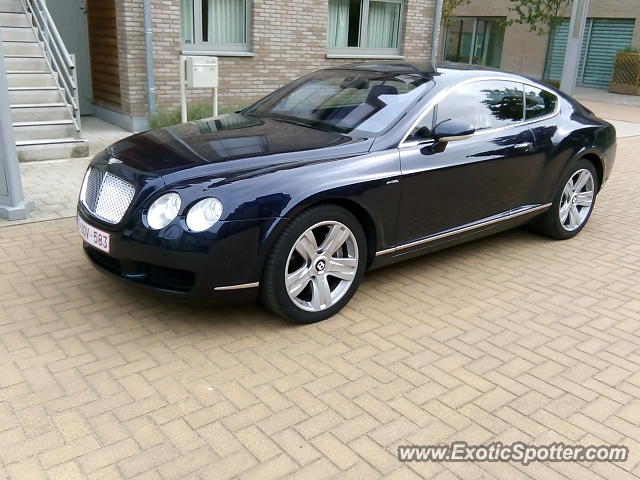 Bentley Continental spotted in Strombeek bever, Belgium