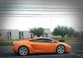 Lamborghini Gallardo