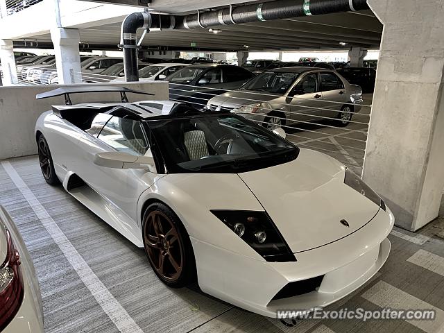 Lamborghini Murcielago spotted in Plano, Texas