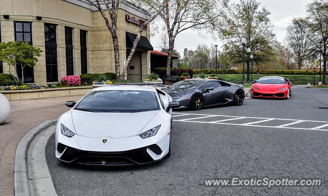 Lamborghini Huracan spotted in Charlotte, North Carolina